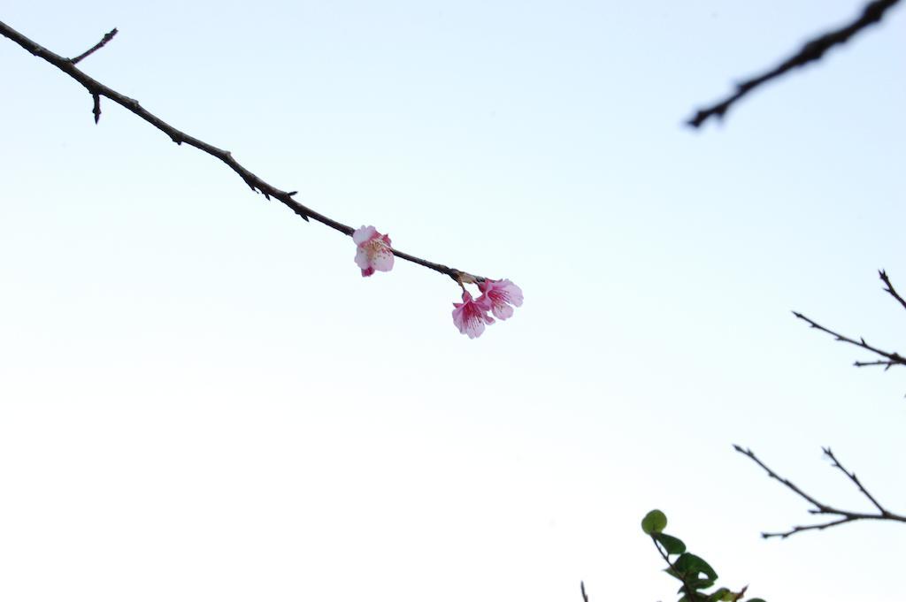 Yukurinaresort Okinawa Garden House موتوبو المظهر الخارجي الصورة