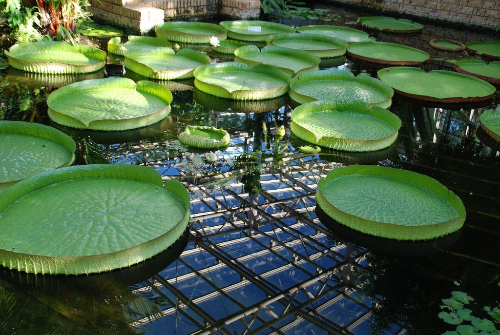 Yukurinaresort Okinawa Garden House موتوبو المظهر الخارجي الصورة