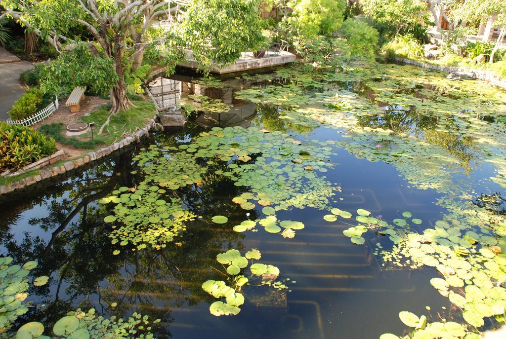 Yukurinaresort Okinawa Garden House موتوبو المظهر الخارجي الصورة